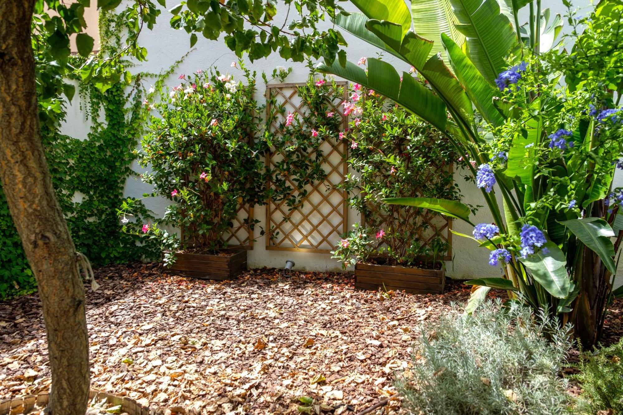 Bonita Casa Sa Font En Santa Catalina, Centro